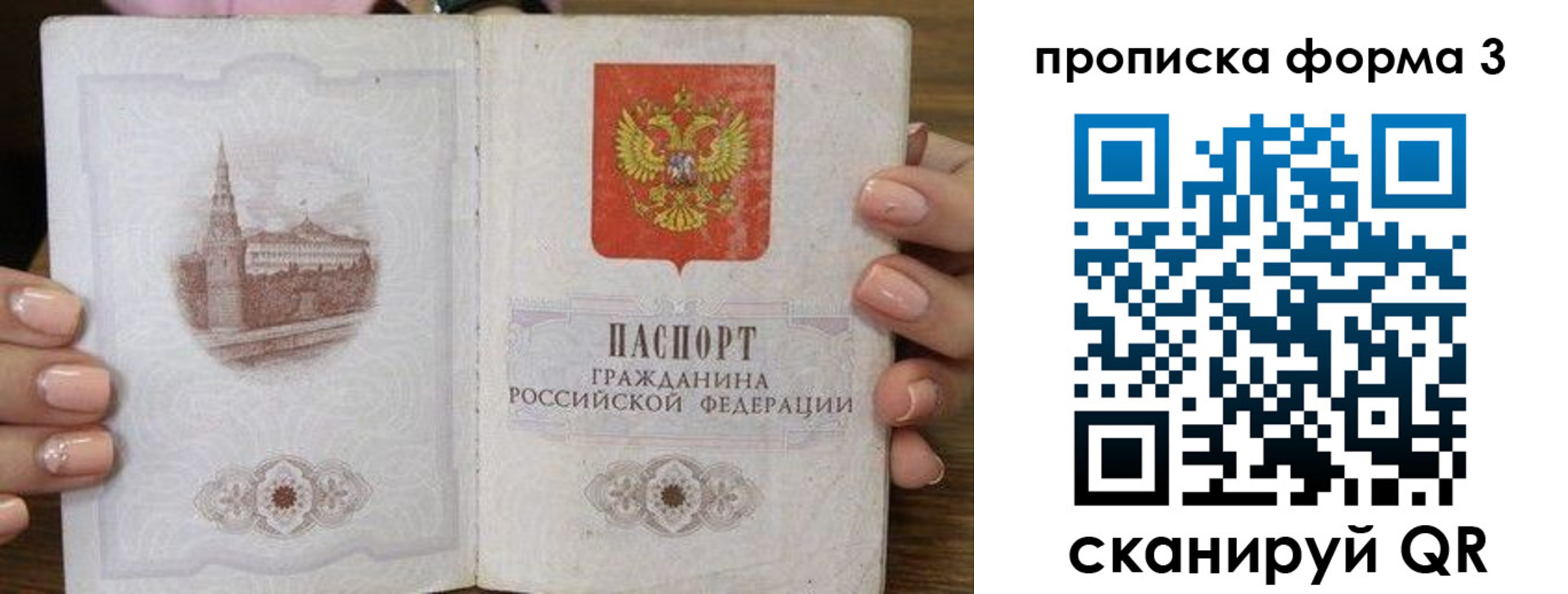 прописка поиск в Шадринске